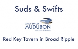 Sud and Swifts at Red Key Tavern