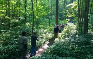 Bird Hikers in the Woods