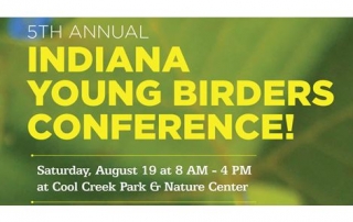 IBYC Conference Banner