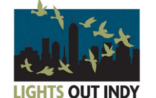 Lights Out Indy Logo